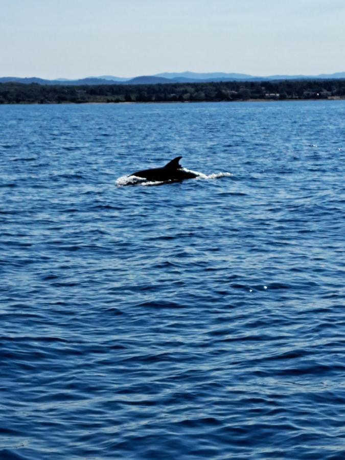 Boat & Breakfast Hotel Umag Bagian luar foto